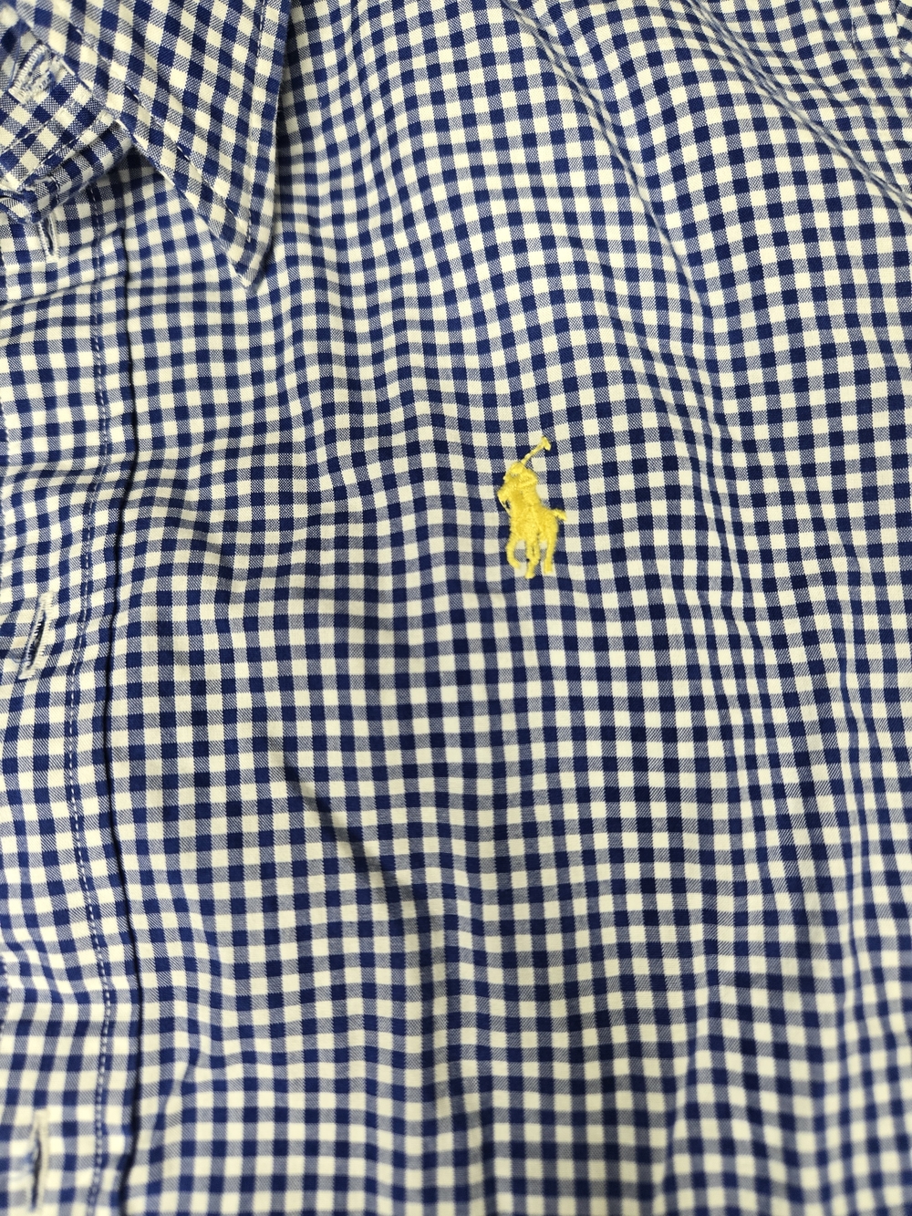 Ralph Lauren Sports Blue and White Gingham Button-Down with Yellow Pony